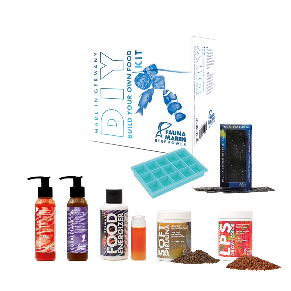 DIY Food Kit
