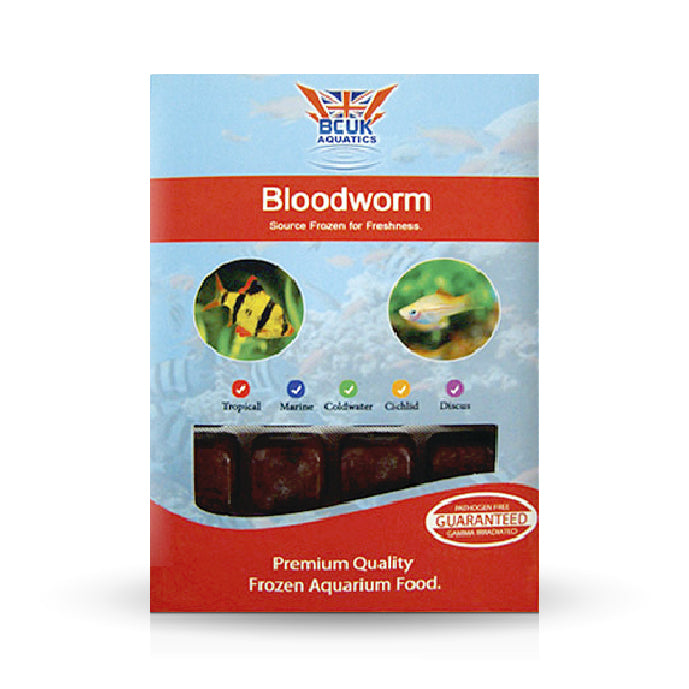 Bloodworm 100g Blister