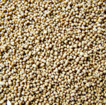 LPS Coral Food Kit 15g