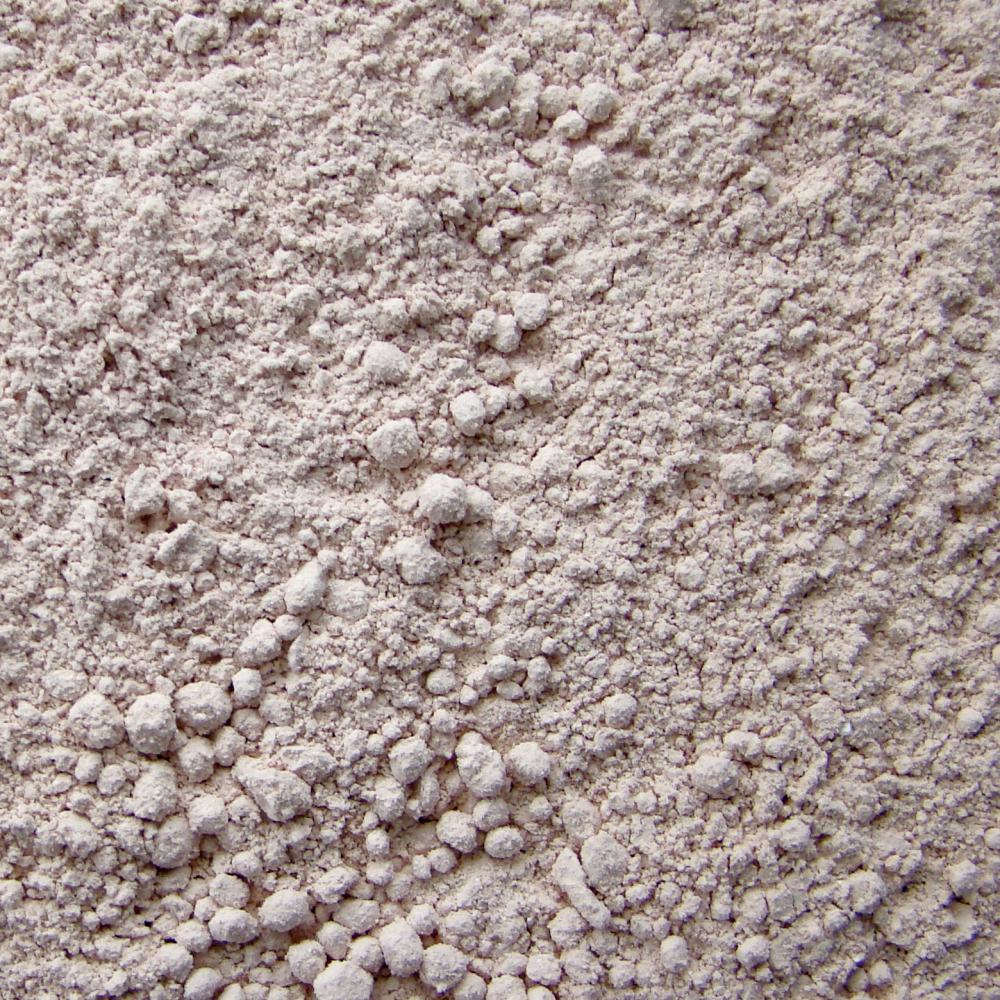 SPS Coral Food Kit 5g