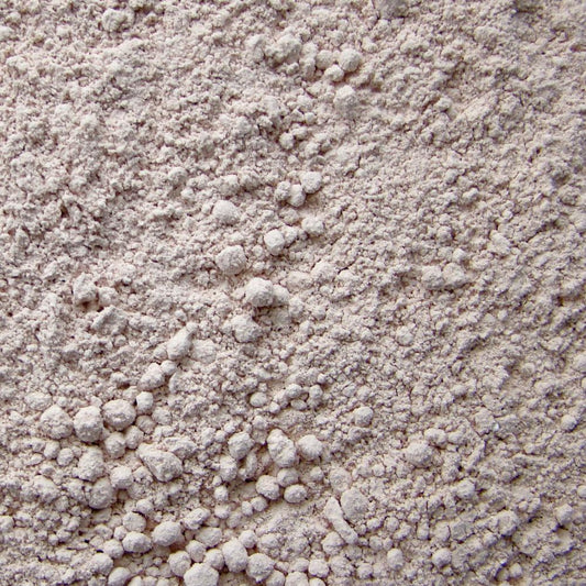 SPS Coral Food Kit 5g