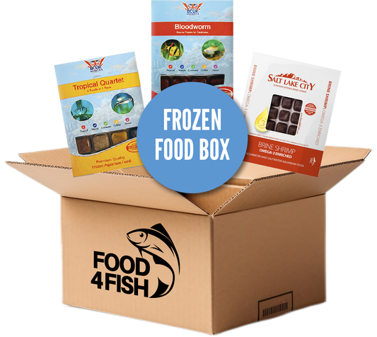 Frozen Food Combo Box