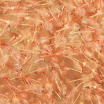 Brine Shrimp 100g Blister
