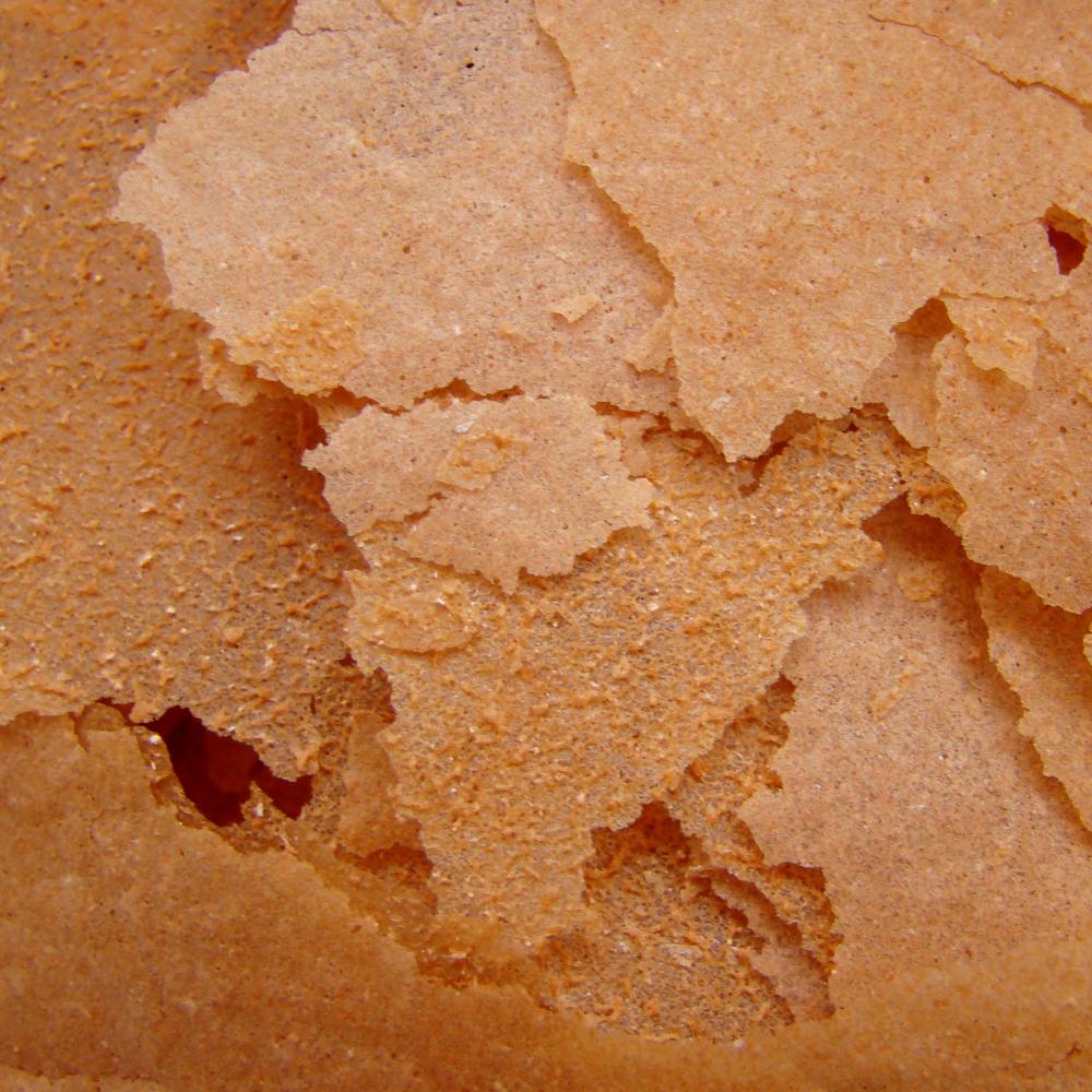 Calanus Flake
