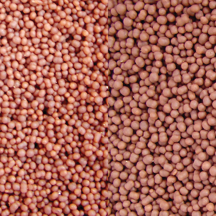 Calanus Pellets