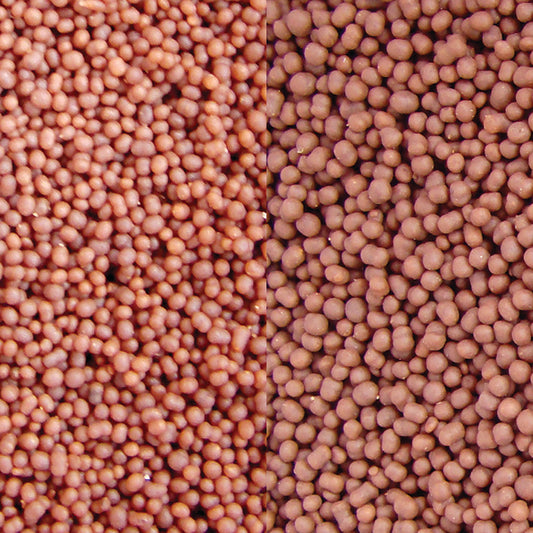 Calanus Pellets