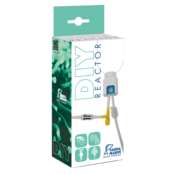 DIY Reactor for Artemia, Phytoplankton, Rotifers