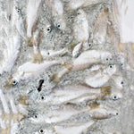 Small Whole Fish IQF 100g bags