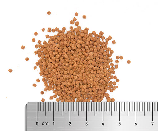 LPS Grow & Colour L 60g