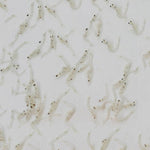 FD Mysis 6g - Freeze Dried