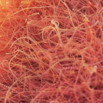 Tubifex 100g Blister